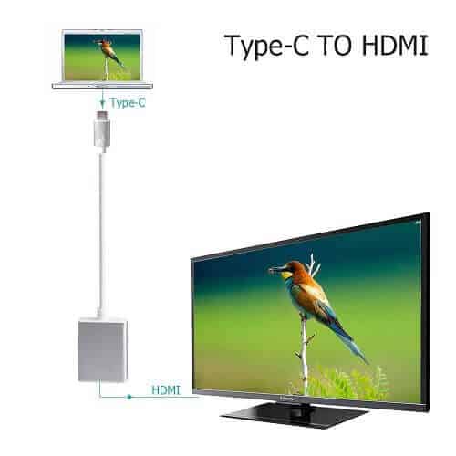 USB Type C 3.1 Male to HDMI Female HDTV 1080p Adapter Cable (Silver)
