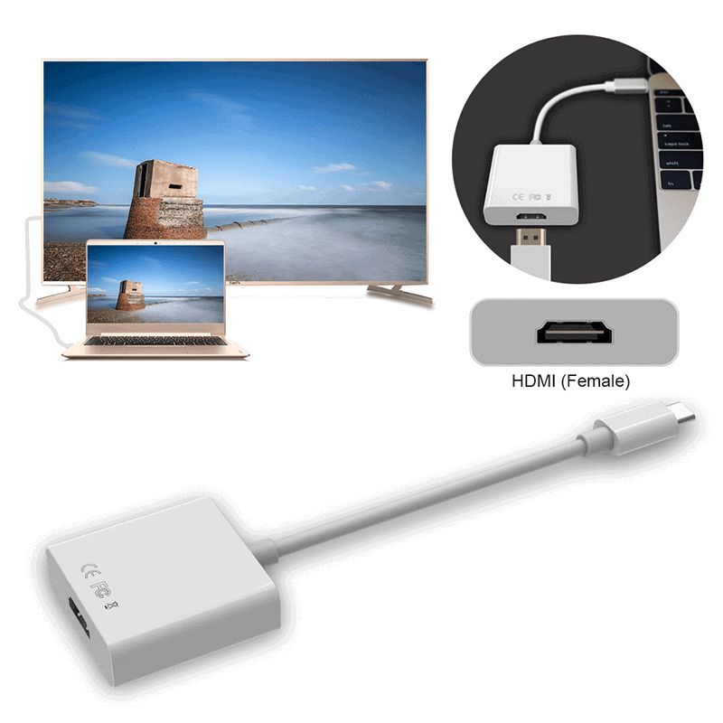 USB Type C 3.1 Male to HDMI Female HDTV 1080p Adapter Cable (Silver)