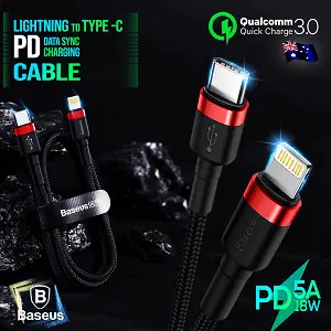 USB C to Lightning Cable
